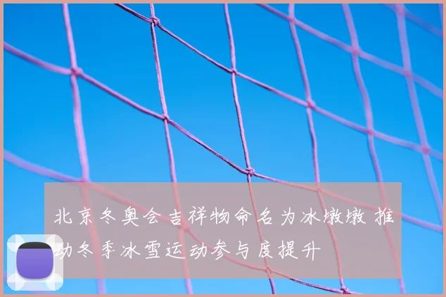 北京冬奥会吉祥物命名为冰墩墩 推动冬季冰雪运动参与度提升