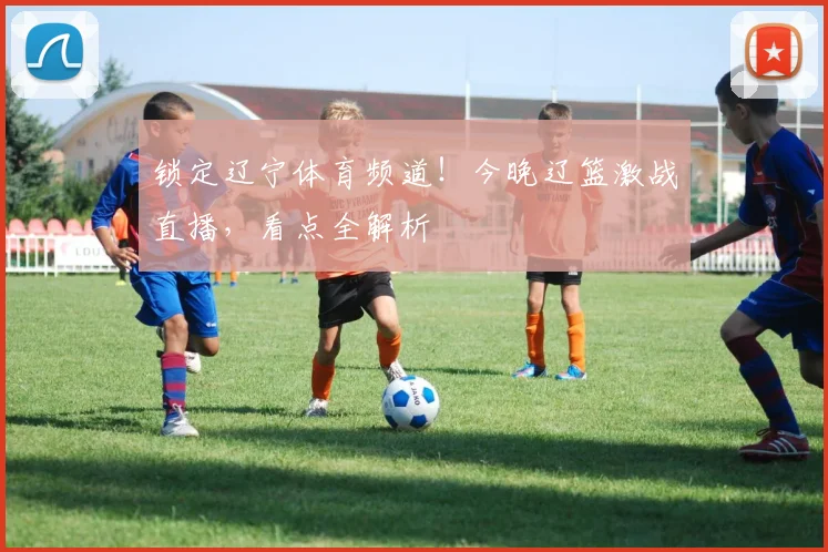 锁定辽宁体育频道！今晚辽篮激战直播，看点全解析