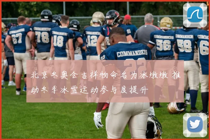 北京冬奥会吉祥物命名为冰墩墩 推动冬季冰雪运动参与度提升