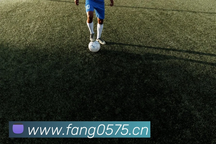 爱游戏ayx在线登录入口平台生态图